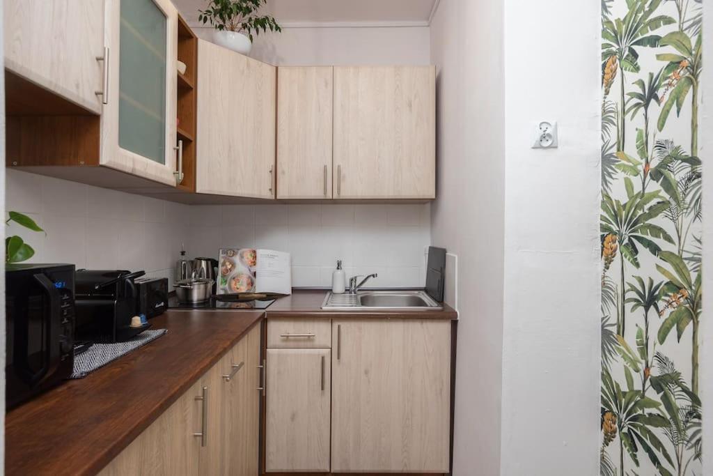 Specious City Center Studio With Park View Varsovie Extérieur photo